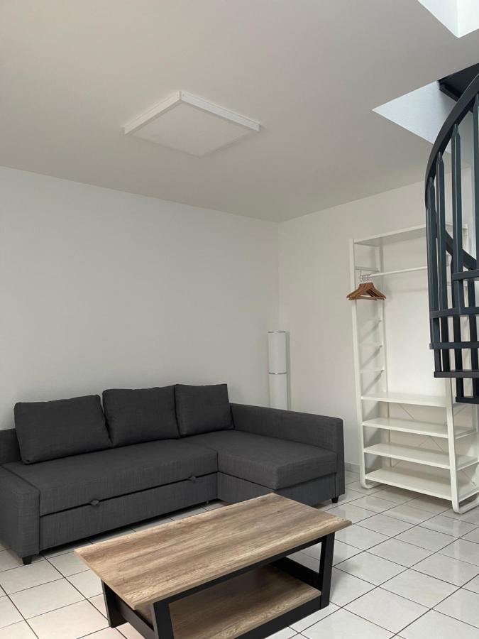 Nancy Hypercentre 34 Rue Des Dominicains !公寓 外观 照片