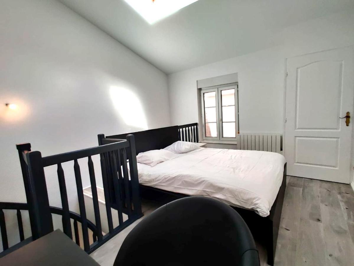 Nancy Hypercentre 34 Rue Des Dominicains !公寓 外观 照片